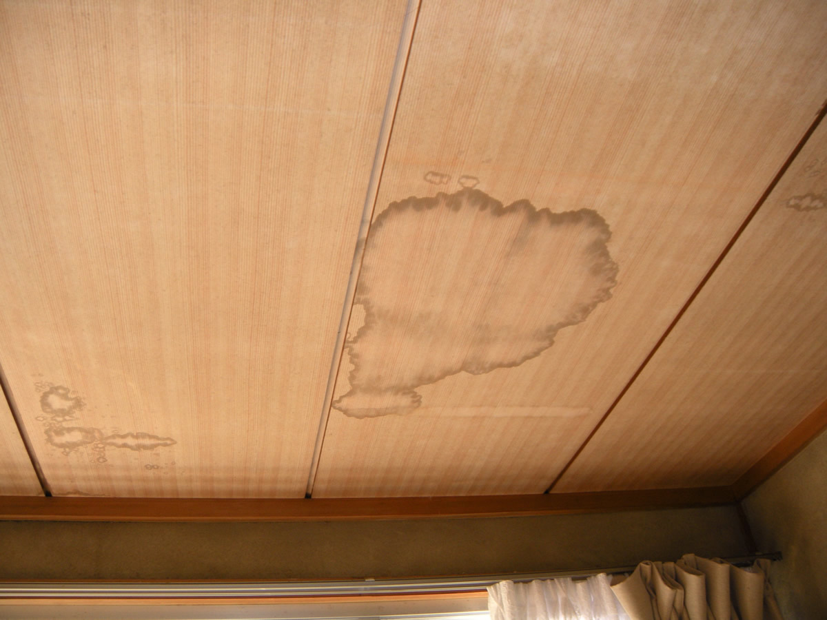 外壁ヒビ割れ、屋根から雨水が伝わり天井からの雨漏れ